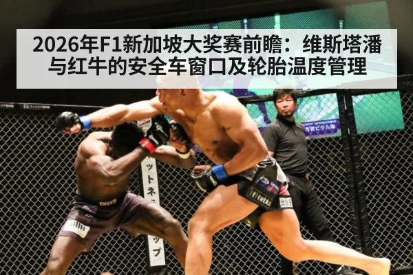 2026年F1新加坡大奖赛前瞻：维斯塔潘与红牛的安全车窗口及轮胎温度管理 - j9 game